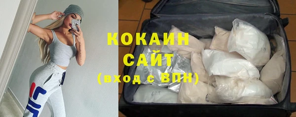 индика Тайга