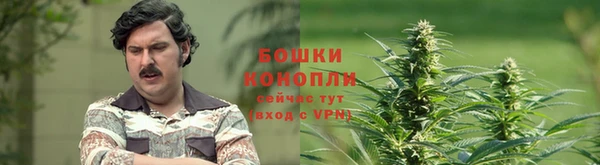 дживик Аркадак